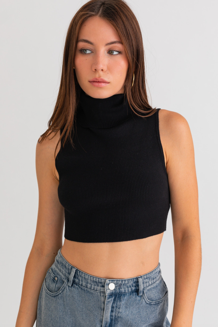 Black roll hot sale neck crop jumper